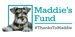Maddie's Fund #ThanksToMaddie